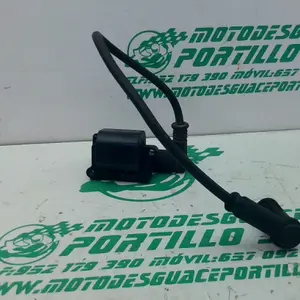 Foto de Bobina Ducati MONSTER S2R referencia 141-23-44073 foto 6