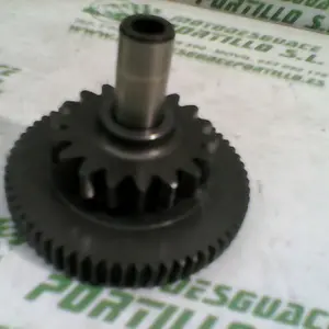Foto de Piñón del motor de arranque Suzuki Burgman 125 08-10 referencia 50-17-7180