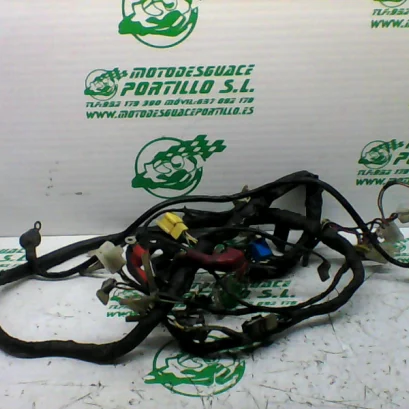 Foto de Instalación electrica Suzuki GS 500 E referencia 290-20-36950