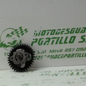 Foto de Bomba de aceite Yamaha Cygnus x 125 referencia 45-17-4684