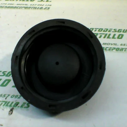 Foto de Tapón de gasolina Suzuki Address r 50 referencia 173-17-15719