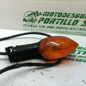 Foto de Intermitente trasero izquierdo Yamaha FZ1-N referencia 177-19-21594 foto 2