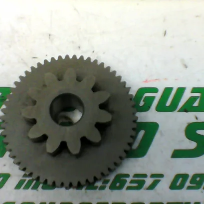 Foto de Piñón del motor de arranque Yamaha XMAX 250 referencia 213-19-37386