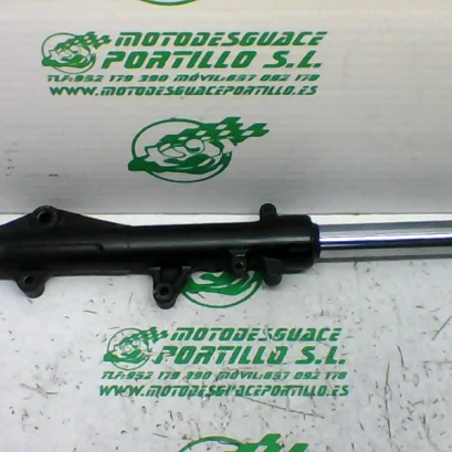 Foto de Barra horquilla izquierda Honda Pcx 125 referencia 407-22-40859