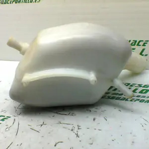 Foto de Bote expansor Sym CITYCOM 300 I referencia 246-19-22922 foto 5