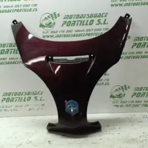 Foto de Frontal Piaggio X9 125 referencia 244-19-24233 foto 21