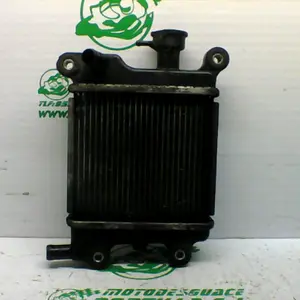Foto de Radiador Yamaha Xenter 125 referencia 446-22-40690