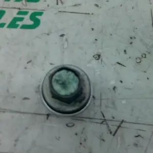 Foto de Tornillo vaciado de aceite Honda Pcx 125 referencia 181-23-46246