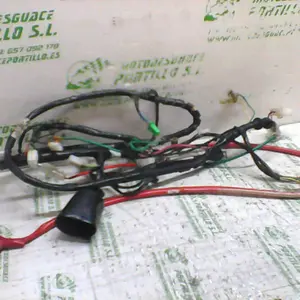 Foto de Instalación electrica Peugeot Tweet 50 4T referencia 32-19-17398 foto 2