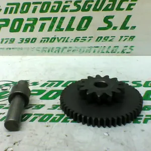 Foto de Piñón del motor de arranque Honda SH 125 referencia 19-16-169