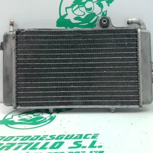 Foto de Radiador Piaggio HEXAGON 2T-125 referencia 175-17-38773