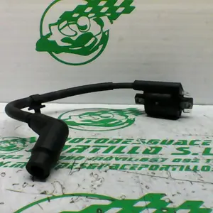 Foto de Bobina Yamaha Xenter 125 referencia 446-22-40693 foto 4