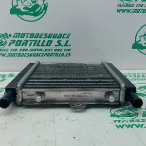 Foto de Radiador Peugeot Satelis 125 referencia 240-19-36136 foto 14