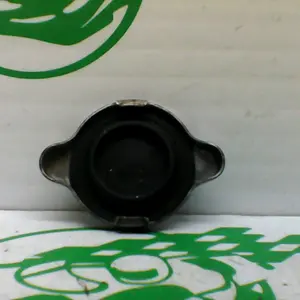 Foto de Tapon del radiador BMW K1200R referencia 133-20-38553