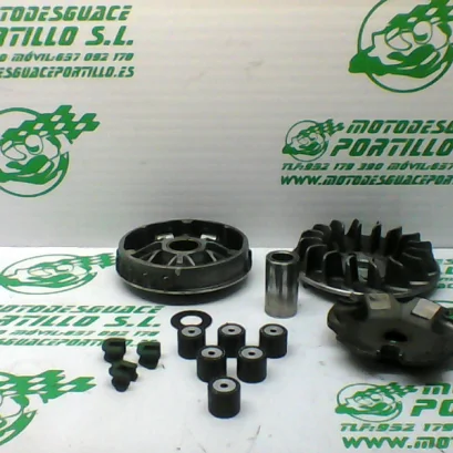 Foto de Variador Derbi RAMBLA 250 referencia 304-20-27203