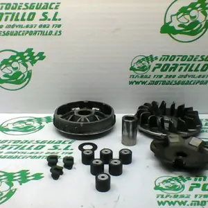 Foto de Variador Derbi RAMBLA 250 referencia 304-20-27203