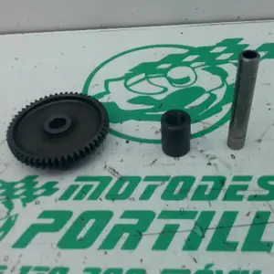 Foto de Piñón del motor de arranque Kymco Super Dink 125 referencia 360-23-48044 foto 3