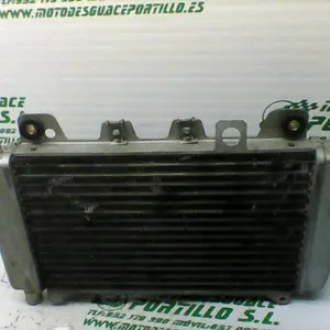 Foto de Radiador Piaggio X9 125 referencia 244-19-24208 foto 8