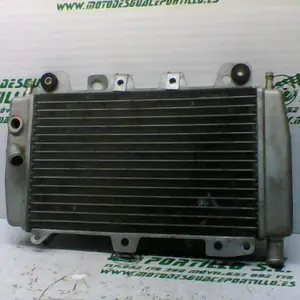 Foto de Radiador Piaggio X9 125 referencia 244-19-24208 foto 4