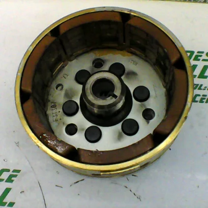 Foto de Plato magnetico Suzuki GN 250 referencia 192-17-19525