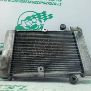 Foto de Radiador Honda SH 300 I referencia 364-23-46080 foto 2