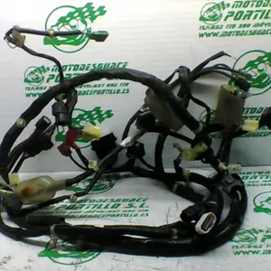 Foto de Instalación electrica Honda Pcx 125 referencia 407-22-40841 foto 2