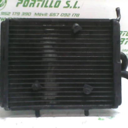 Foto de Radiador Derbi RAMBLA 300 referencia 167-22-37651