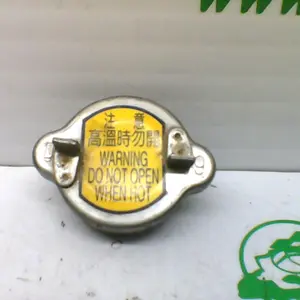 Foto de Tapón bote expansor Sym JOYMAX 300I referencia 305-21-31784 foto 3
