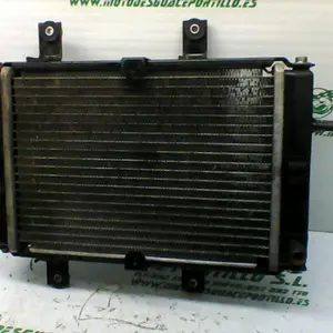 Foto de Radiador Sym CITYCOM 300 I referencia 246-19-22953 foto 5