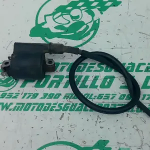 Foto de Bobina Honda PS 125 referencia 106-24-47757 foto 4