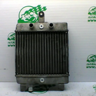 Foto de Radiador Suzuki BURGMAN 125 - 15 referencia 179-20-35800