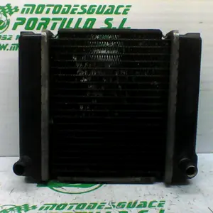 Foto de Radiador Kymco super dink 300 i referencia 367-19-43479 foto 5