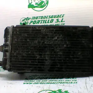 Foto de Radiador Honda Shadow 750 referencia 211-16-36004 foto 2