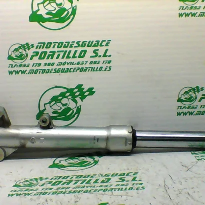 Foto de Barra horquilla izquierda Aprilia Sportcity 125 referencia 219-20-39526