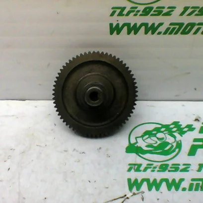 Foto de Piñón del motor de arranque Aprilia Atlantic 250 referencia 364-21-31688