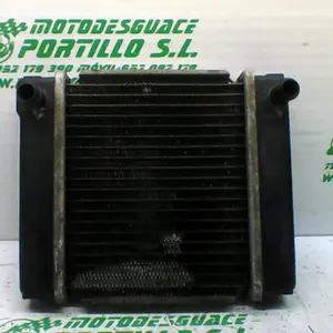 Foto de Radiador Kymco super dink 300 i referencia 367-19-43479 foto 2