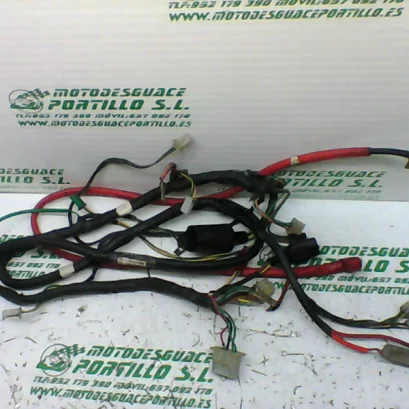 Foto de Instalación electrica Sym FIDDLE 125-09 referencia 73-19-23880