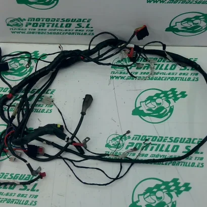 Foto de Instalación electrica Piaggio Liberty 50 4T referencia 304-22-41010