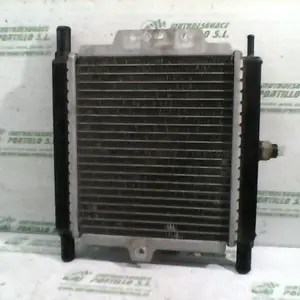 Foto de Radiador Peugeot Satelis 125 referencia 240-19-36136 foto 18