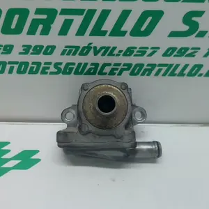 Foto de Válvula de gases Yamaha YBR 125 referencia 124-22-35419