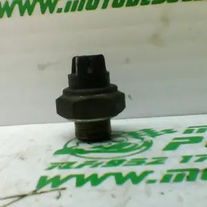 Foto de Sensor de temperatura Yamaha TEOS 150 referencia 154-20-29554 foto 8