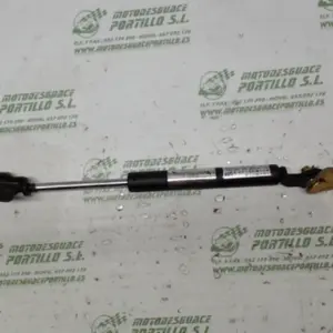 Foto de Amortiguador del asiento Sym Gts 125 referencia 111-16-988
