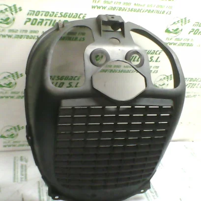 Foto de Protector de radiador Piaggio X9 250 referencia 44-18-12498