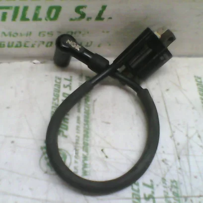 Foto de Bobina Yamaha Neos 50 referencia 70-22-34204
