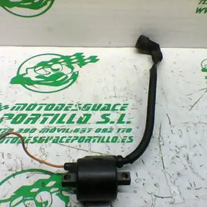 Foto de Bobina Yamaha CH-80 referencia 190-17-39272 foto 1