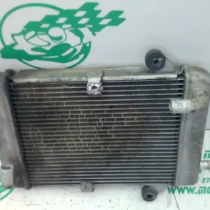 Foto de Radiador Honda SH 300 I referencia 364-23-46080