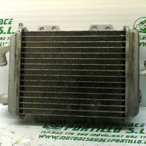 Foto de Radiador Peugeot ELYSTAR 125 referencia 354-20-43044 foto 3