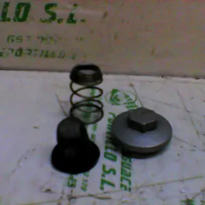 Foto de Tapon vaciado de aceite Peugeot Tweet 50 4T referencia 85-17-7536