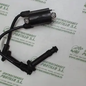 Foto de Bobina Honda CB 600 HORNET 02-03 referencia 49-17-7618