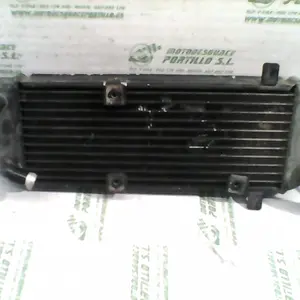 Foto de Radiador Suzuki Epicuro 125 referencia 97-16-6783